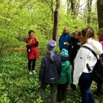 Kräuterwanderung im Wienerwald