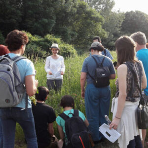 Kräuterwanderungen Berlin