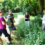 Kräuterwanderung im Prater