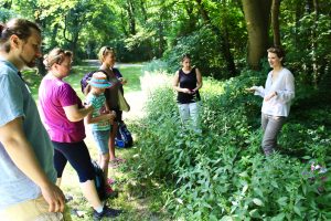 Kräuterwanderung im Prater