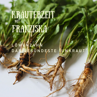 Löwenzahn – Kräuterzeit mit Franziska