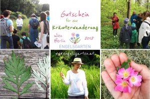 Gutscheine Kräuterwanderungen