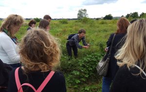 Kräuterwanderung Tempelhofer Feld