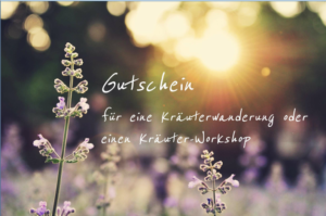 Gutschein Kräuterwanderung