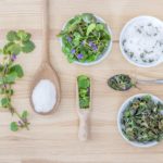 Kochen mit Wildkräutern