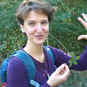 Kräuterwanderung Wien