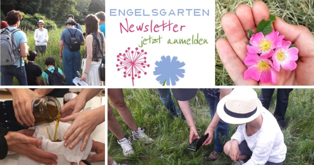 Newsletter Anmeldung