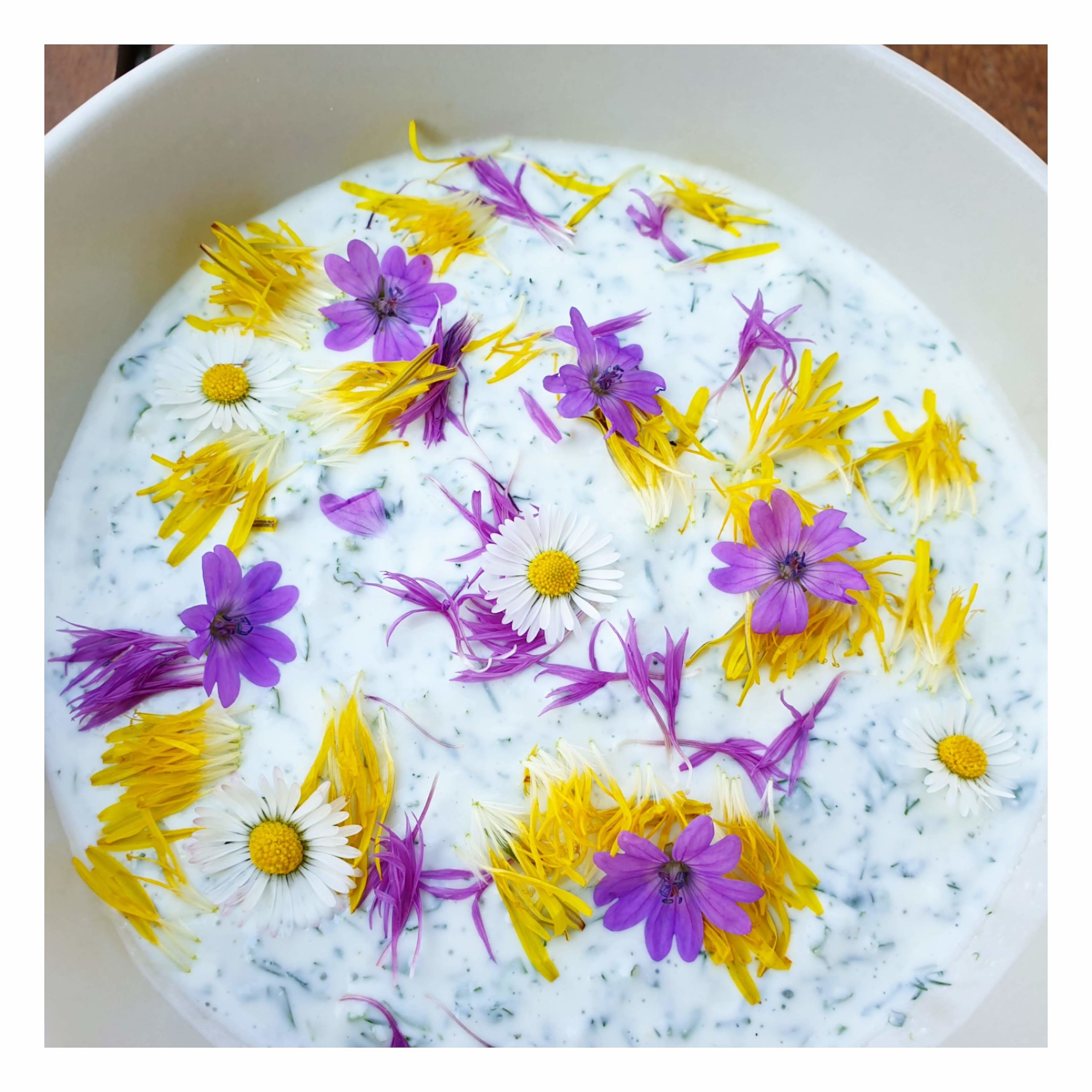 Wildkräuter Dip