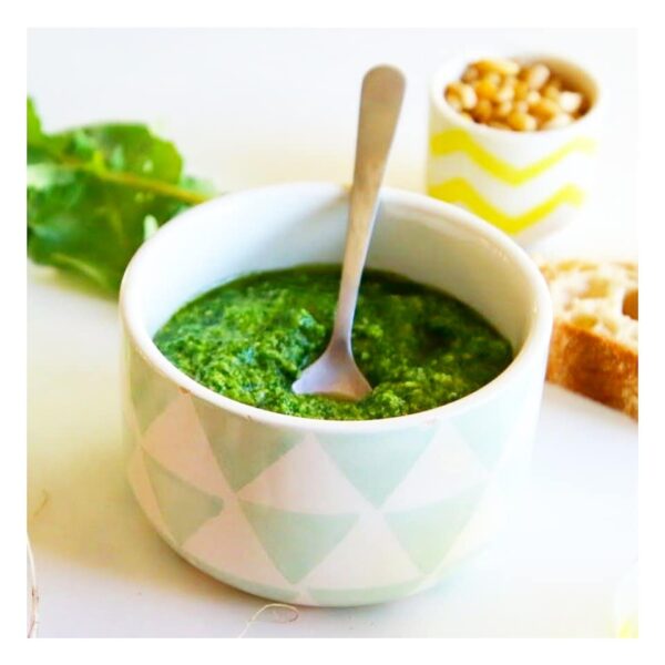 Knopfkraut - Franzosenkraut - Engelsgarten