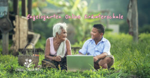 Online Kräuterschule