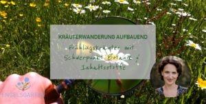 Kräuterwanderung für Fortgeschrittene