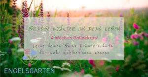 Onlinekurs Basis Kräuterschatz