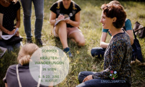 Kräuterwanderungen in Wien