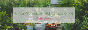 Onlinekurs Kräuterkunde Basiswissen