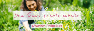 Onlinekus Dein Basis Kräuterschatz