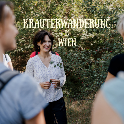 Kräuterwanderung in Wien