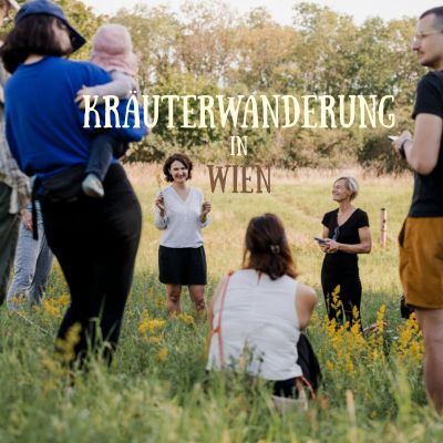Kräuterwanderung in Wien